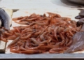 3 170422 De pescado o de carne, así es la harira