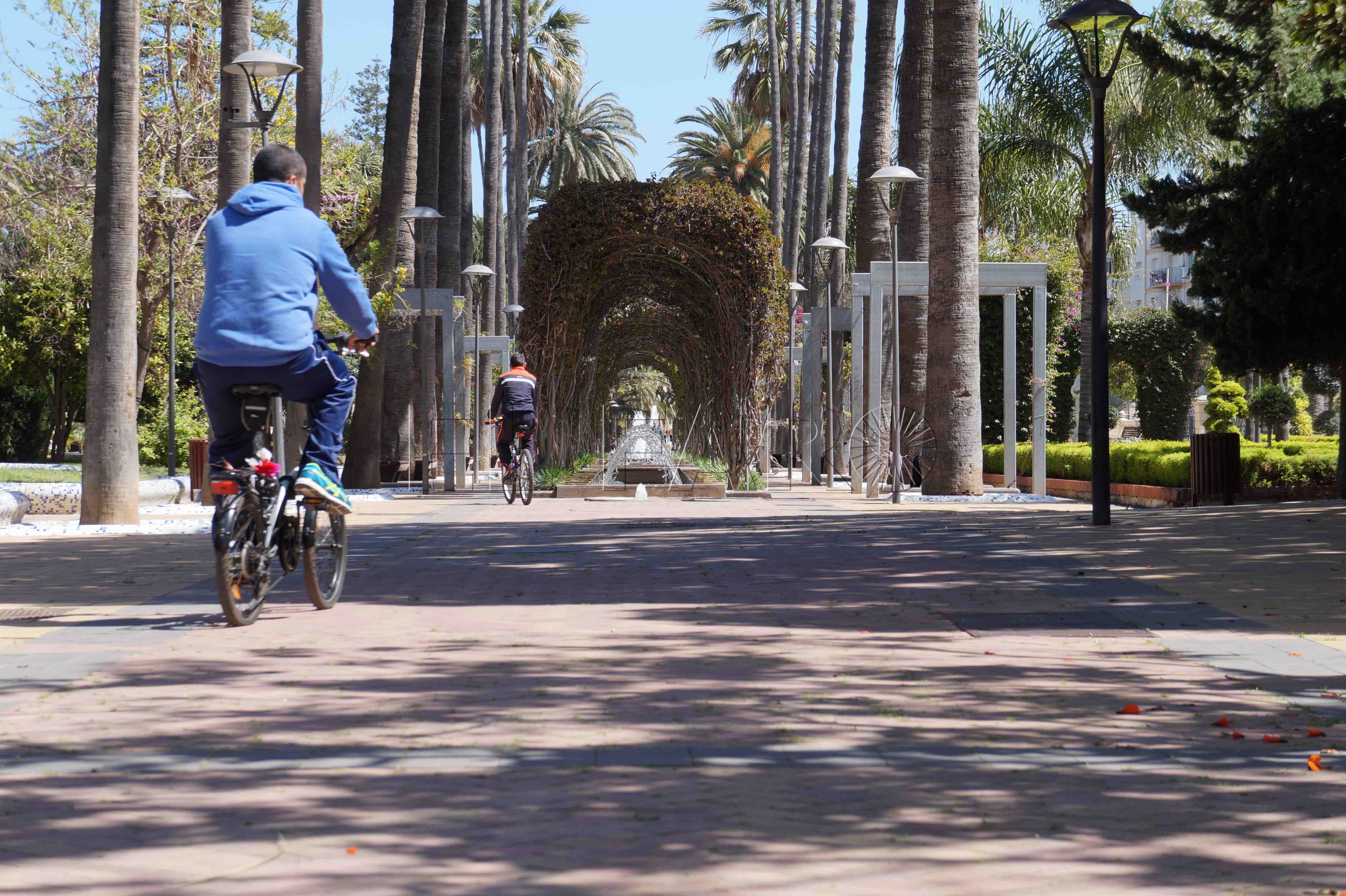PARQUE 2 Quevedo fue el que advirtió de que no había permiso de Patrimonio para derribar el muro del parque