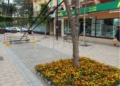 Tahler 3 Diez mil flores engalanan los rincones más emblemáticos de Melilla