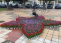 Tahler 5 Diez mil flores engalanan los rincones más emblemáticos de Melilla