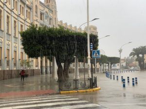 WhatsApp Image 2022 04 05 at 1.58.29 PM "Queríamos lluvia para limpiar la calima y nos llegó el temporal"