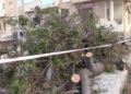 WhatsApp Image 2022 04 20 at 7.40.56 PM 1 El fuerte viento destroza un coche en Melilla