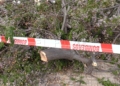 WhatsApp Image 2022 04 20 at 7.41.16 PM El fuerte viento destroza un coche en Melilla