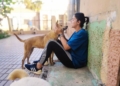 WhatsApp Image 2022 04 25 at 11.54.50 AM 1 La rabia no frena las adopciones de perros y gatos en Melilla