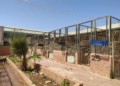 WhatsApp Image 2022 04 25 at 12.50.56 PM 1 La rabia no frena las adopciones de perros y gatos en Melilla