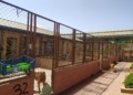 WhatsApp Image 2022 04 25 at 12.52.12 PM 1 La rabia no frena las adopciones de perros y gatos en Melilla