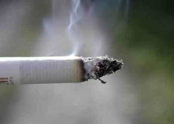 cigarro 1 En Melilla, los nuevos precios del tabaco solo afectarán a cuatro marcas de picaduras de pipa