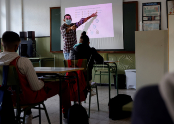 docencia ANPE exige la actualización del catálogo de enfermedades profesionales en el sector docente