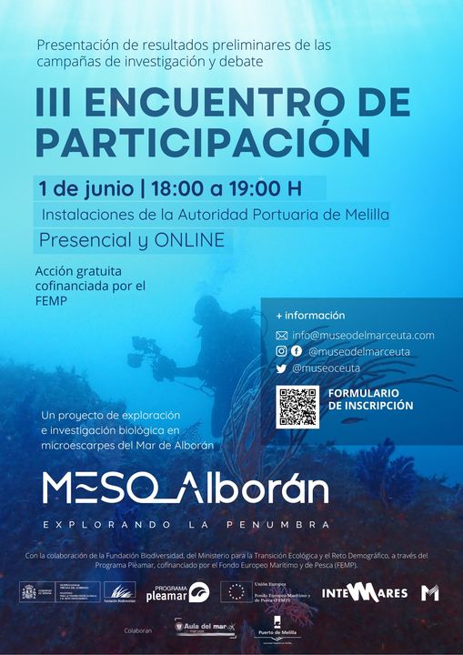283837890 1680620308943480 8481886372409487163 n Presentarán en Melilla los primeros resultados de una investigación biológica del Mar de Alborán