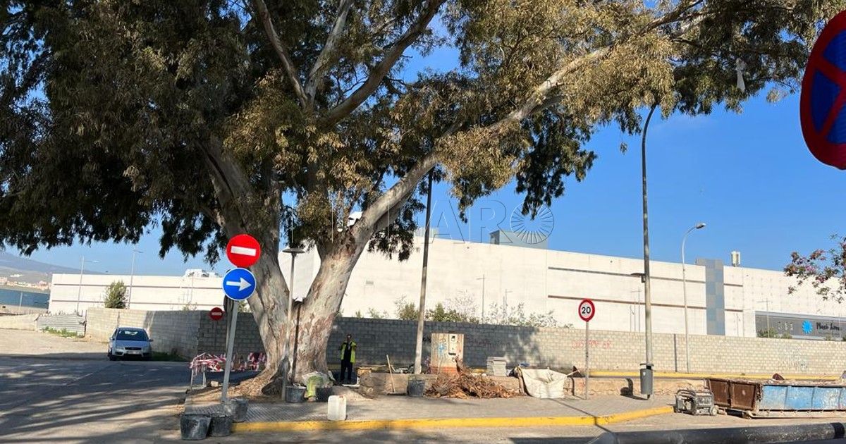 Arreglos junto a la frontera Una reapertura gradual y necesaria