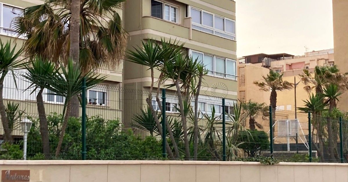 Guelaya 1 Guelaya llama a concentrarse este sábado para defender el área verde de un edificio del Paseo Marítimo