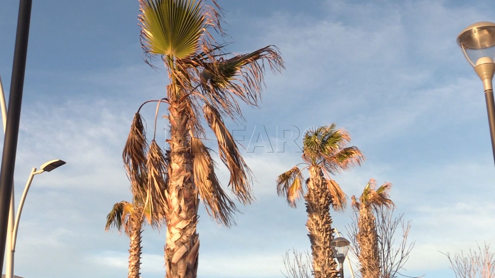 IMG 20220516 WA0000 Previsión del Tiempo en Melilla: lunes 16 de mayo de 2022