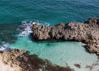 Mar Melilla Presentarán en Melilla los primeros resultados de una investigación biológica del Mar de Alborán