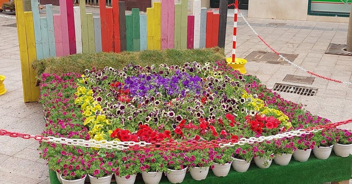 Melilla en Flor El entorno también es importante