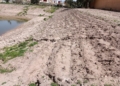 Río de Oro 2 “La laguna cumplió con su misión de balsa de inundación a la perfección”