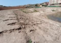 Río de Oro 3 “La laguna cumplió con su misión de balsa de inundación a la perfección”