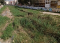 Río de Oro 9 “La laguna cumplió con su misión de balsa de inundación a la perfección”
