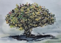 WhatsApp Image 2022 04 30 at 9.03.39 PM 1 "Melilla en flor", dibujada por los Urban Sketchers