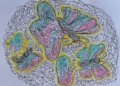 WhatsApp Image 2022 04 30 at 9.03.41 PM "Melilla en flor", dibujada por los Urban Sketchers