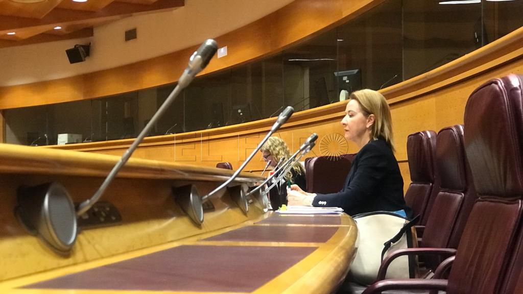 merelo 1 Vox alerta: “Los perímetros fronterizos no son impermeables y hay que reforzarlos”