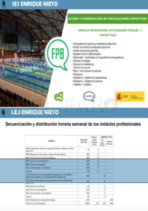 Captura de pantalla 2022 06 16 a las 12.58.51 Estos son los grados de FP que se podrán cursar en el IES Enrique Nieto el próximo curso