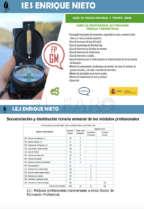 Captura de pantalla 2022 06 16 a las 12.59.06 Estos son los grados de FP que se podrán cursar en el IES Enrique Nieto el próximo curso