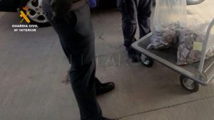 GC 5 Desmantelada una organización dedicada al tráfico de drogas