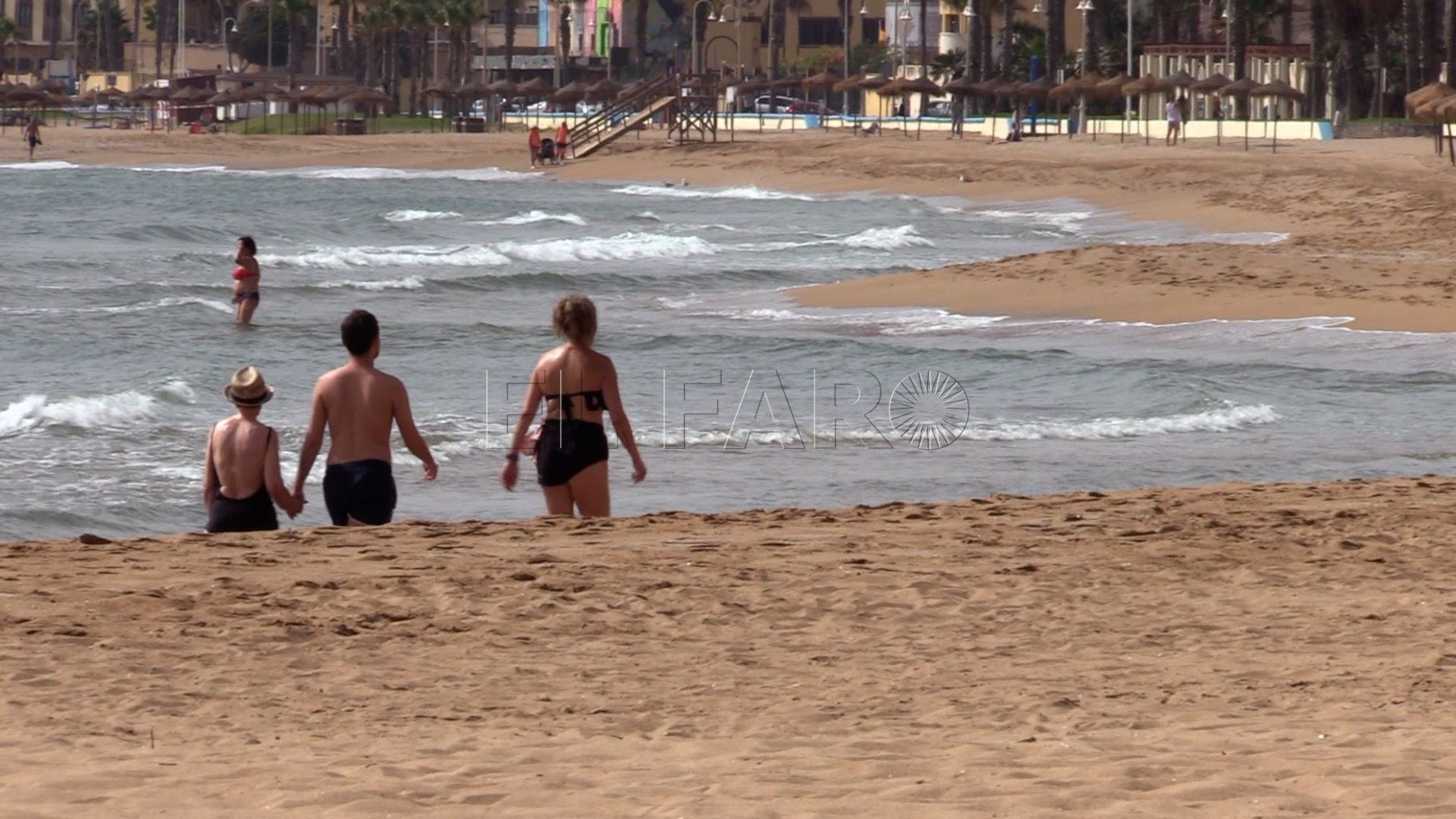 Pasos a seguir ante una picadura de medusa este verano Mantener la calma y buscar a un socorrista, esencial ante una picadura de medusa