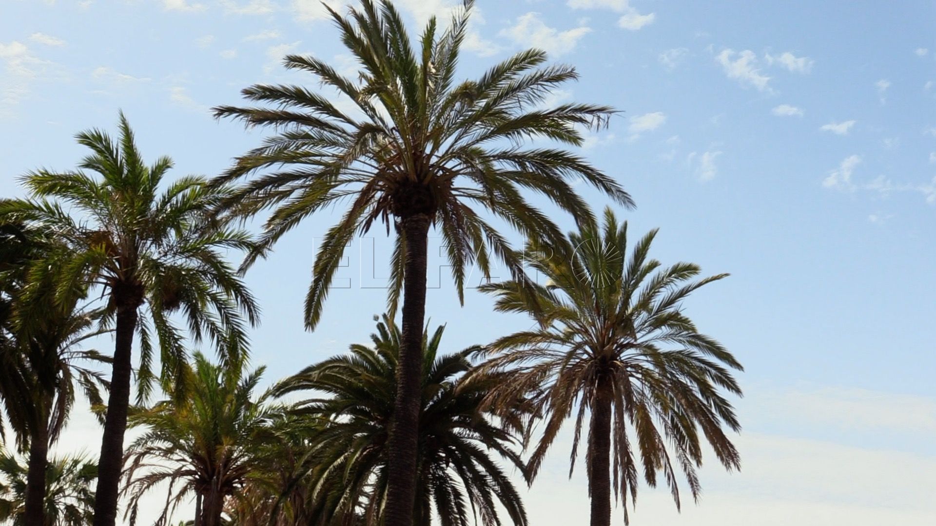 Previsión del tiempo en Melilla viernes 24 de junio de 2022 Previsión del tiempo en Melilla: viernes 24 de junio de 2022