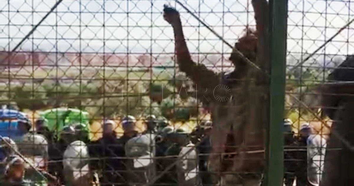 valla 2 Ecologistas condenan los sucesos del 24J en la valla de Melilla