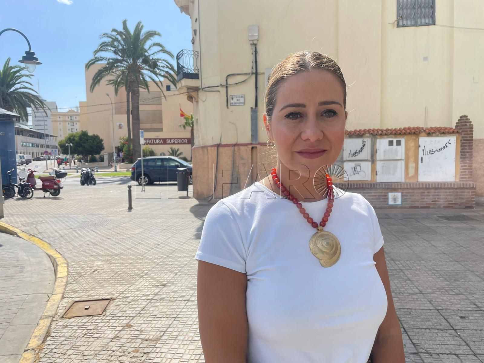 SOFÍA El PP dice que los transportes “han involucionado” a niveles de los años 90