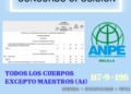 WhatsApp Image 2022 07 04 at 4.54.25 AM 1 ANPE califica de "incierto" el proceso de estabilización de plantillas docentes