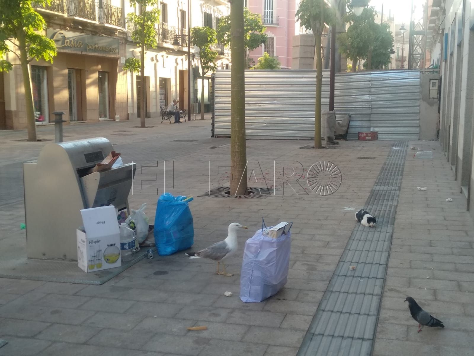 ¿Qué fue del Plan Estratégico Integral de Melilla?