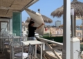 WhatsApp Image 2022 07 19 at 1.41.57 PM 4 Sobrevivir al calor de Melilla en el trabajo