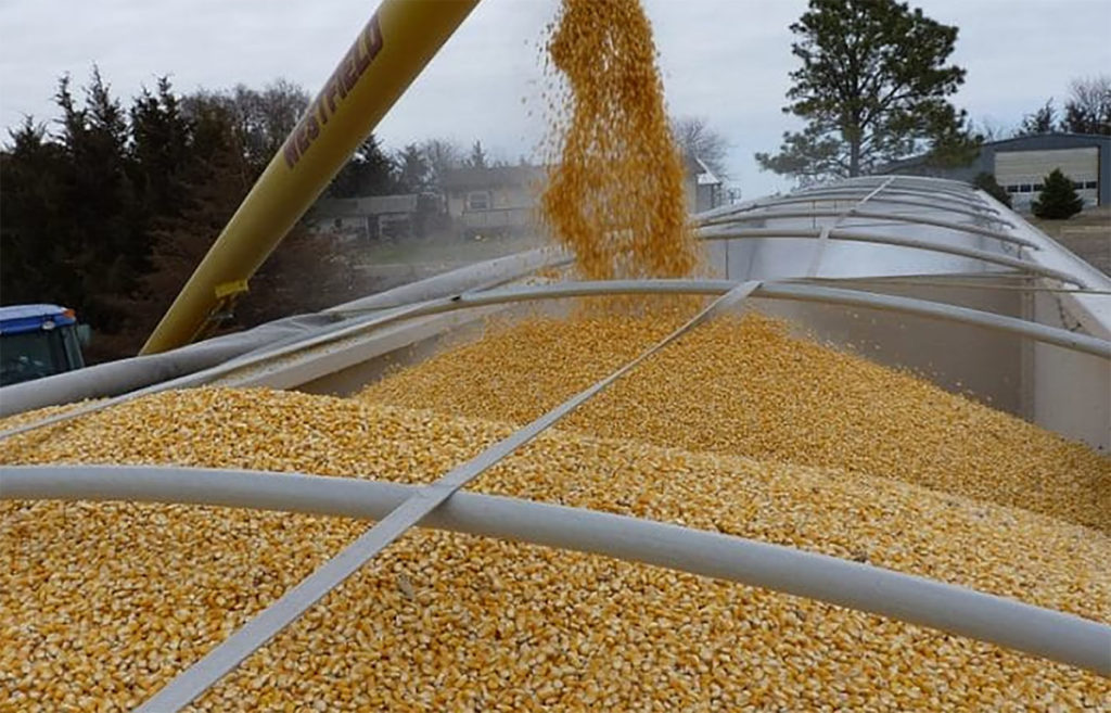 FOTO 2 copia 1 Las toneladas de cereales convertidas en un rehén más del campo de batalla