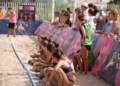 FaCLGpHXkAAygXt Intensa jornada la Supercopa de España de balonmano playa en la playa de San Lorenzo