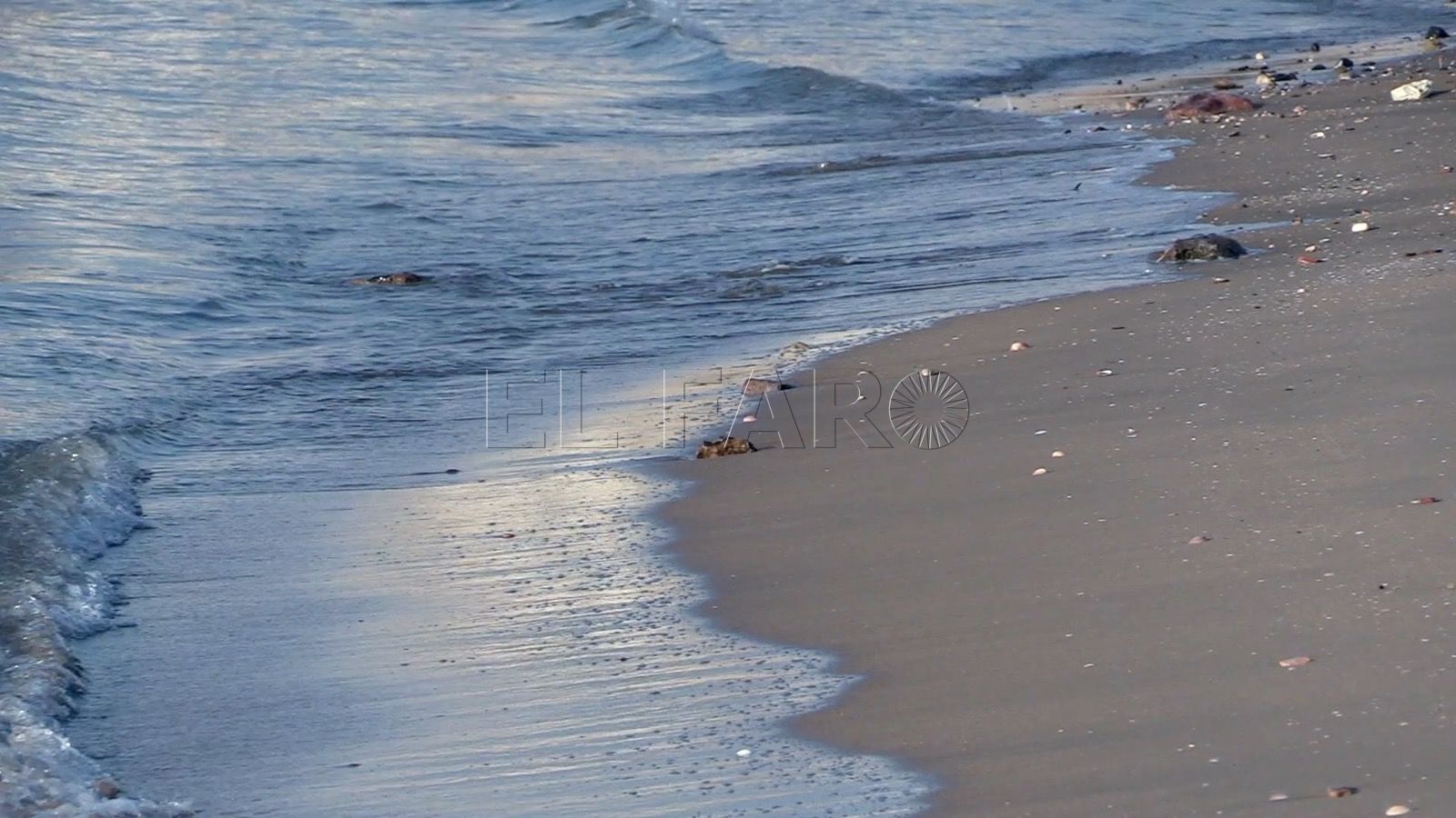 Orilla Previsión del tiempo en Melilla: martes 16 de agosto de 2022
