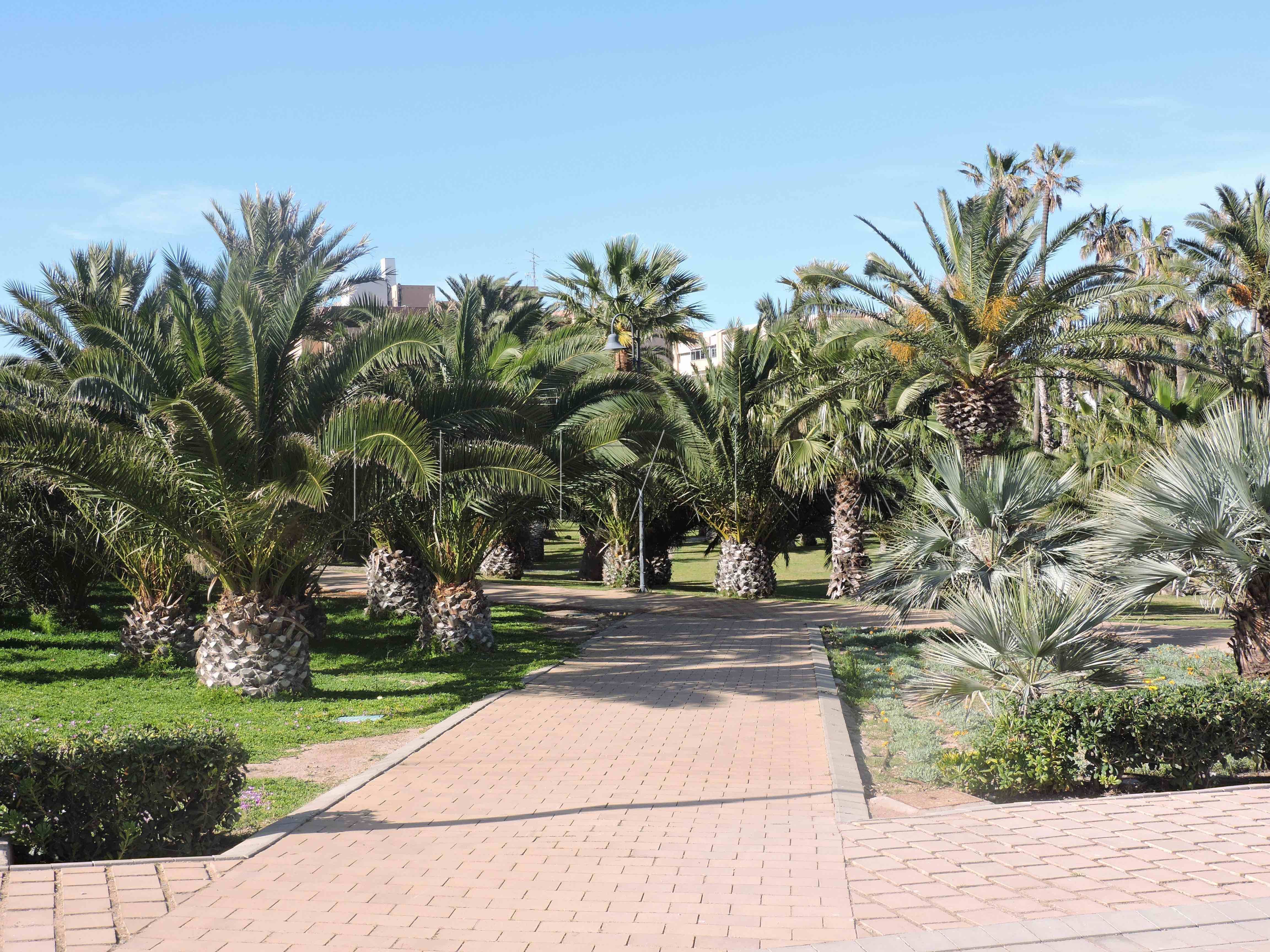 Parque Forestal Melilla: el dilema de una ciudad muy urbanizada y con pocos espacios verdes