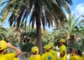 WhatsApp Image 2022 08 08 at 5.58.25 PM 2 Primer campamento medioambiental de Melilla