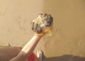 WhatsApp Image 2022 08 26 at 5.49.31 PM Pescando con la mano y jugando en la playa con las medusas "que no pican"