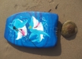 WhatsApp Image 2022 08 26 at 5.49.37 PM Pescando con la mano y jugando en la playa con las medusas "que no pican"