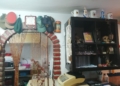 WhatsApp Image 2022 08 28 at 5.07.00 PM La "casa" de los legionarios, abierta a todos los ciudadanos