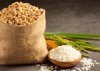 Arroz Qué tener en la despensa para ir lo menos posible al súper