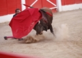 WhatsApp Image 2022 09 06 at 23.12.07 7 Tres puertas grandes en una gran tarde de toros en Melilla