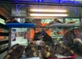 WhatsApp Image 2022 09 09 at 10.32.08 PM 1 Las porras con chocolate, un placer para merendar en la Feria de Melilla