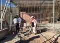 WhatsApp Image 2022 09 28 at 11.31.15 AM Bussian prevé que las nuevas instalaciones de la protectora de animales se inauguren antes de final de año