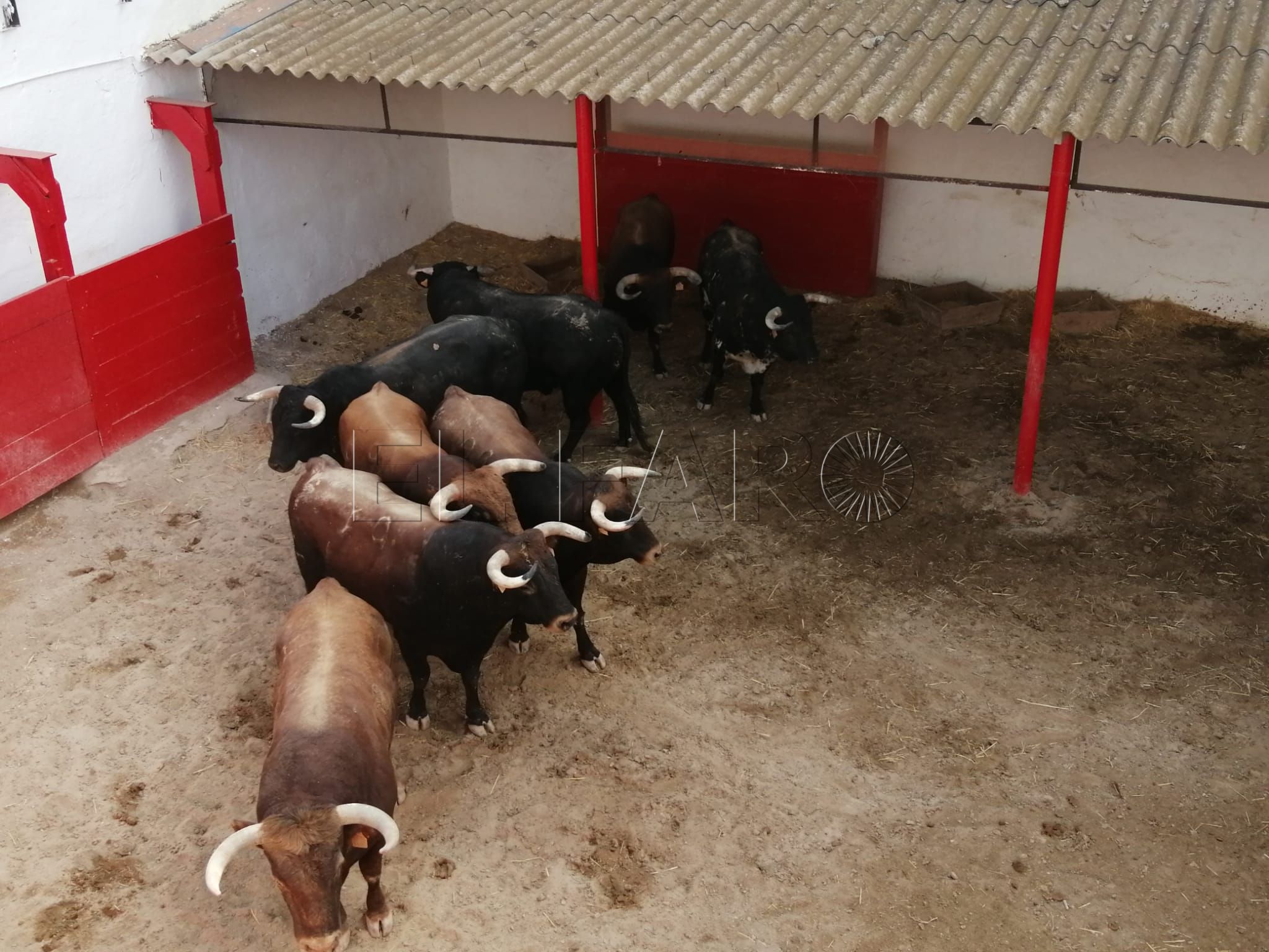 Todo preparado para la celebración de la corrida del 75 aniversario de la Mezquita del Toreo