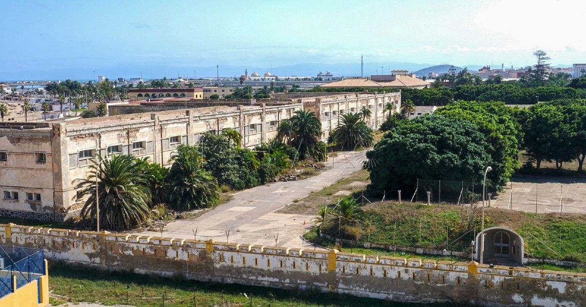 Melilla Podemos defiende que los árboles sean considerados seres vivos y no objetos ante la ley