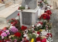 WhatsApp Image 2022 10 26 at 19.46.53 1 Los claveles y las rosas, las flores más demandadas para el Día de Todos los Santos en Melilla
