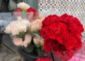 WhatsApp Image 2022 10 26 at 19.46.56 1 Los claveles y las rosas, las flores más demandadas para el Día de Todos los Santos en Melilla